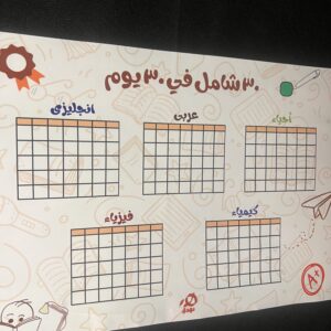 مخطط ٣٠ شامل