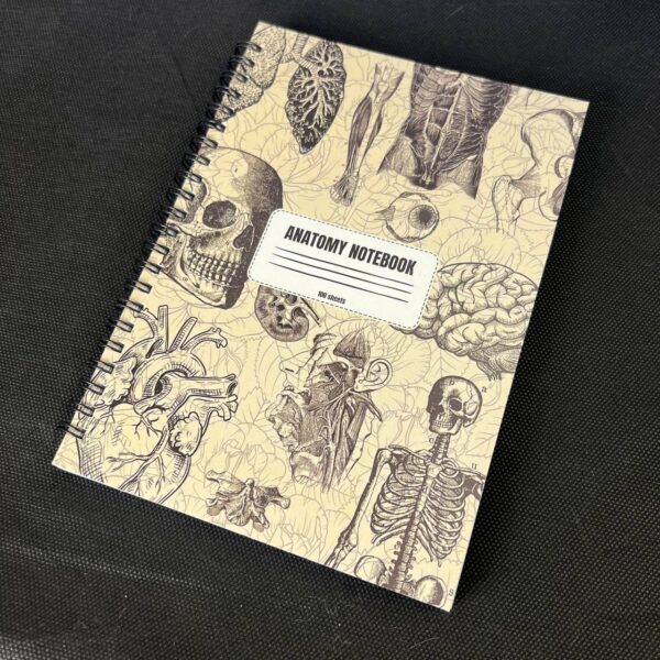 Anatomy Notebook - Image 2
